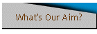 What's Our Aim?
